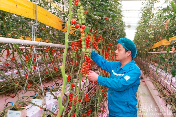 微信圖片_20250214140107 微信圖片_20250214140107