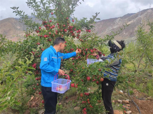 20241019162324645 20241019162324645