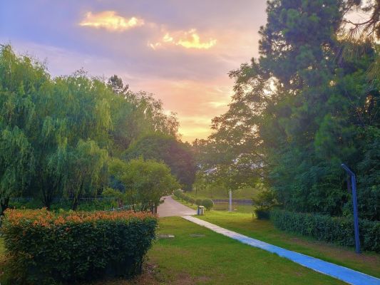 宣城海螺王明，油畫_副本