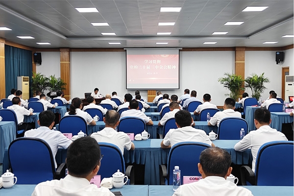 集團(tuán)黨委書記、董事長楊軍到銅陵海螺開展學(xué)...